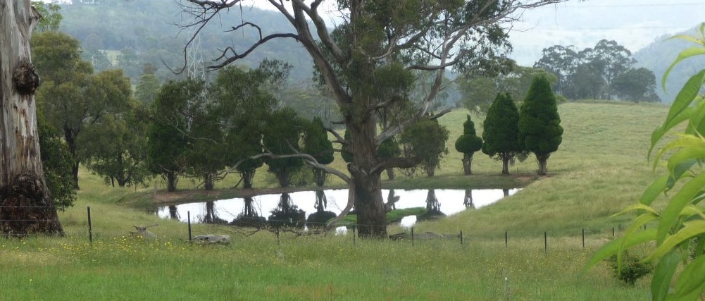 A view over Forty Bends farm.